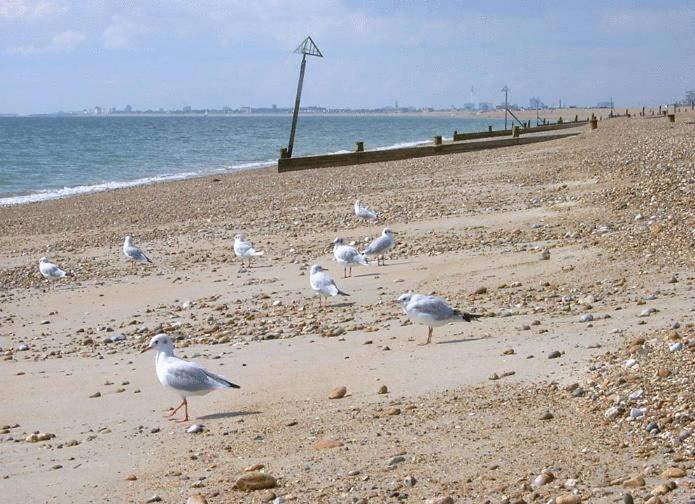 Newtown House Hotel South Hayling Exteriér fotografie